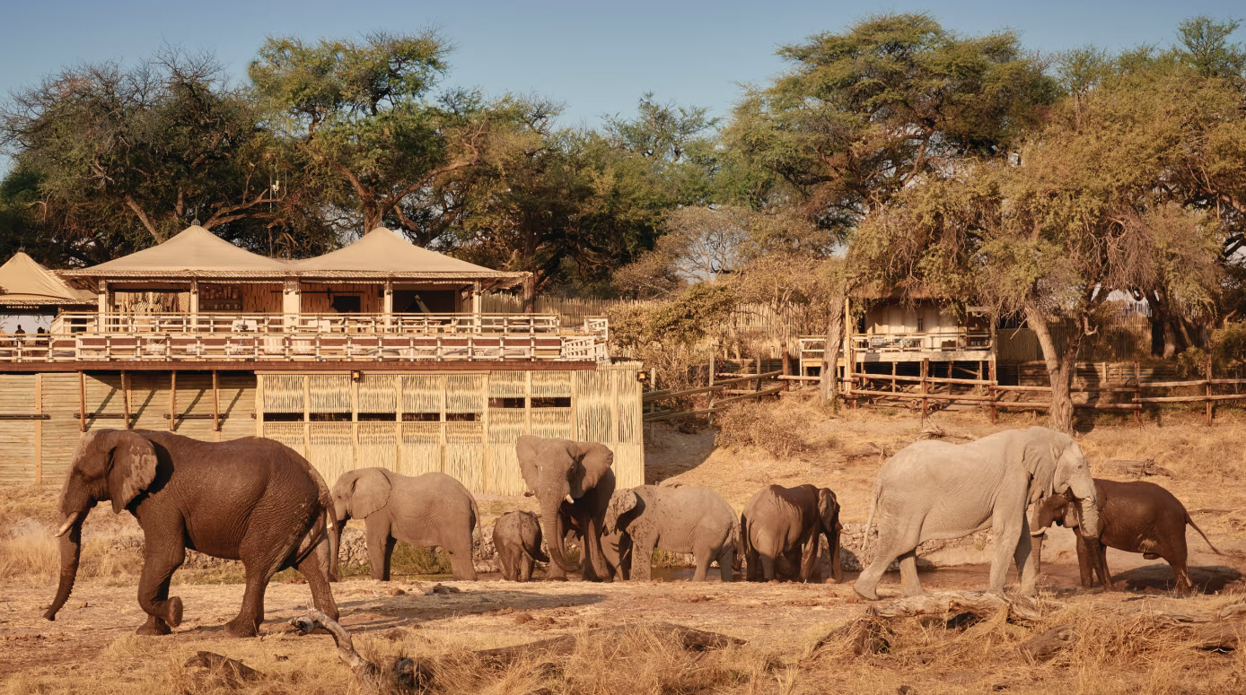 Belmond Savute Elephant Lodge