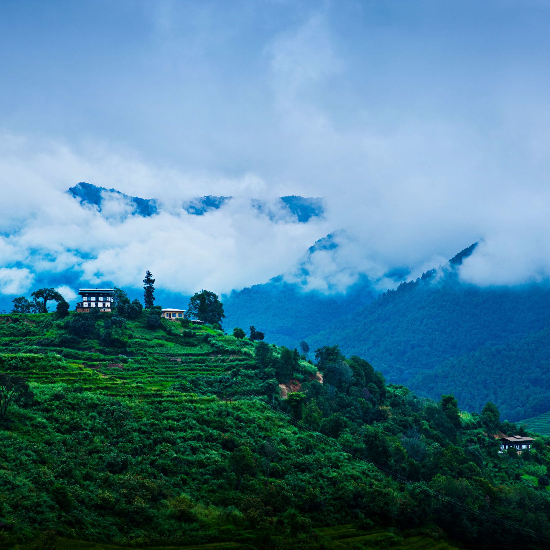Como Uma Punakha