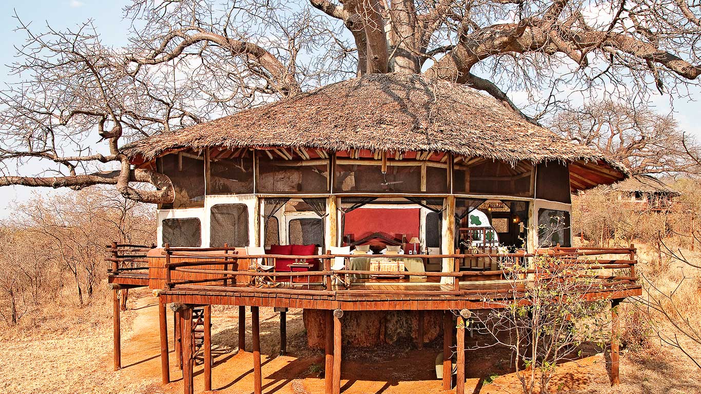 Elewana Tarangire Treetops