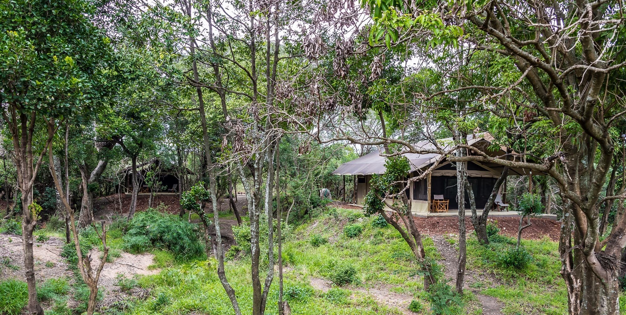 Lerai Safari Camp