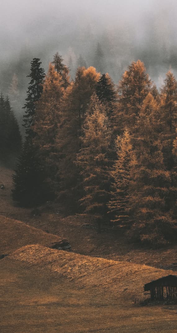 Осень